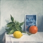 Lemon, bay-leaf and picture. 40x40 cm.  • private coll.